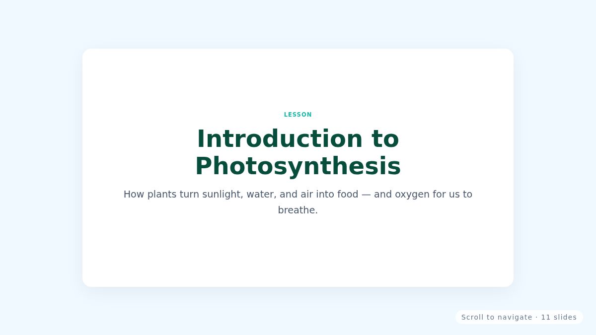 Screenshot of the Lesson Slides template
