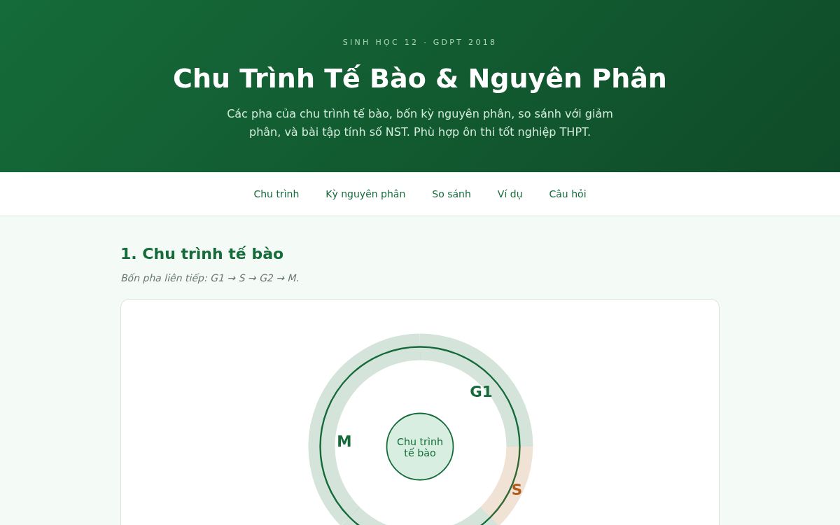 Ảnh chụp mẫu Sinh Học 12 — Chu Trình Tế Bào
